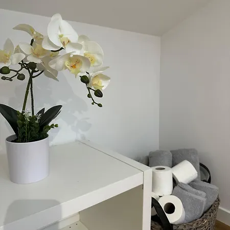Stunning Centre 3-bed Lejlighed Narbonne